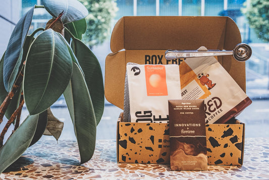 How we taste coffee for the Discovery Club